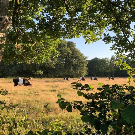 De Hiddinghhoeve Onstwedde Zewnętrze zdjęcie