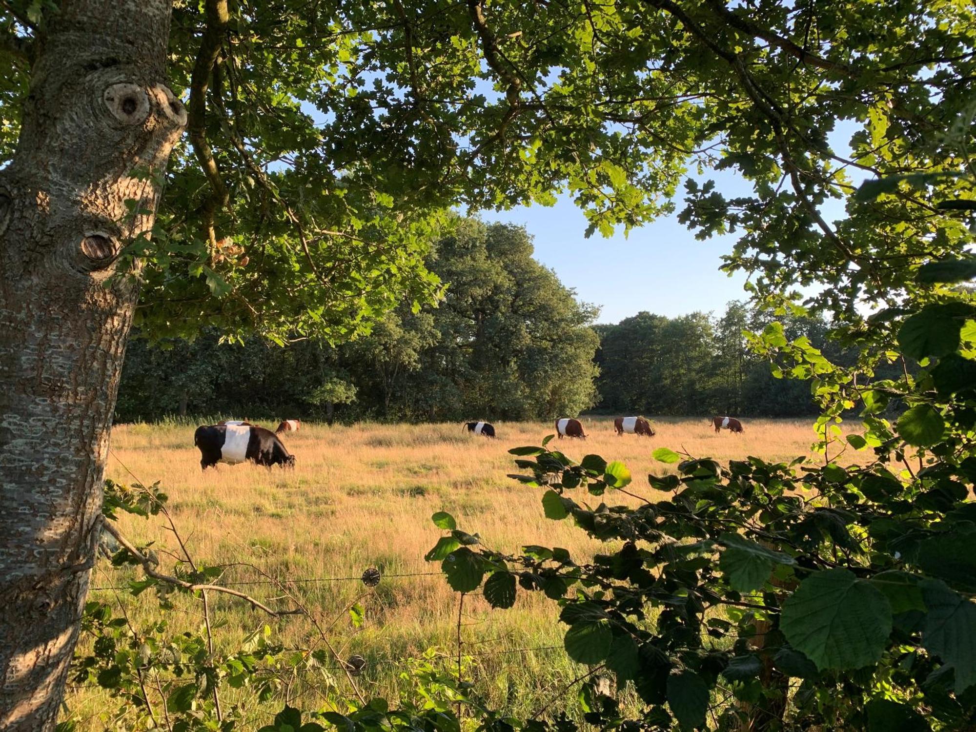 De Hiddinghhoeve Onstwedde Zewnętrze zdjęcie