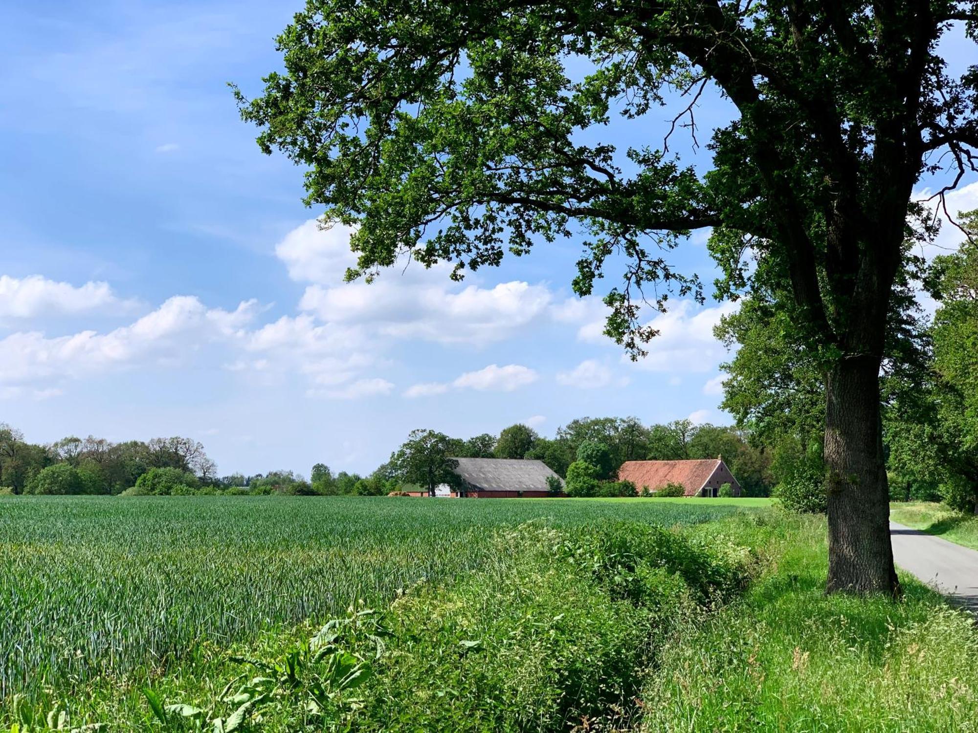 De Hiddinghhoeve Onstwedde Zewnętrze zdjęcie