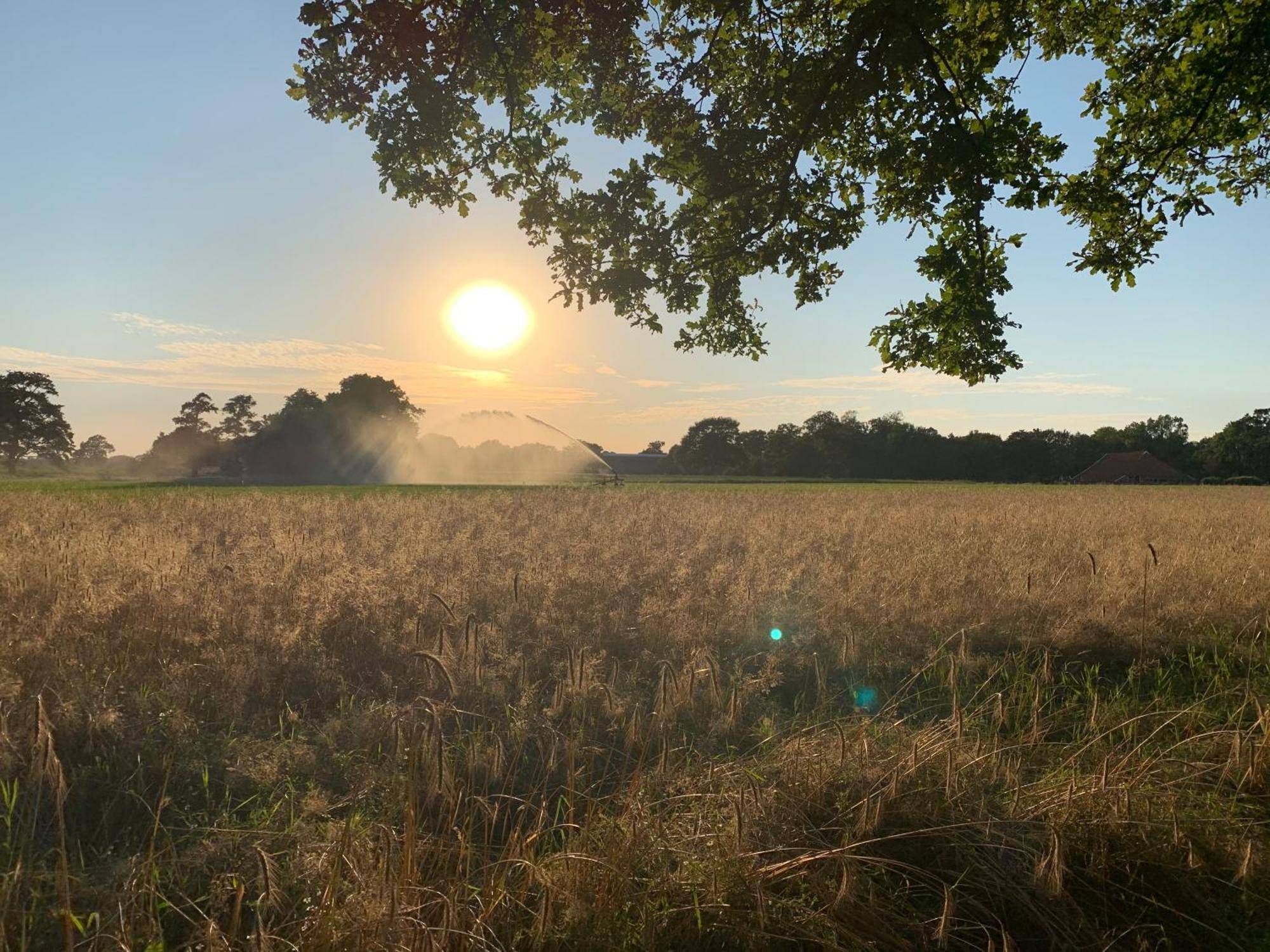 De Hiddinghhoeve Onstwedde Zewnętrze zdjęcie