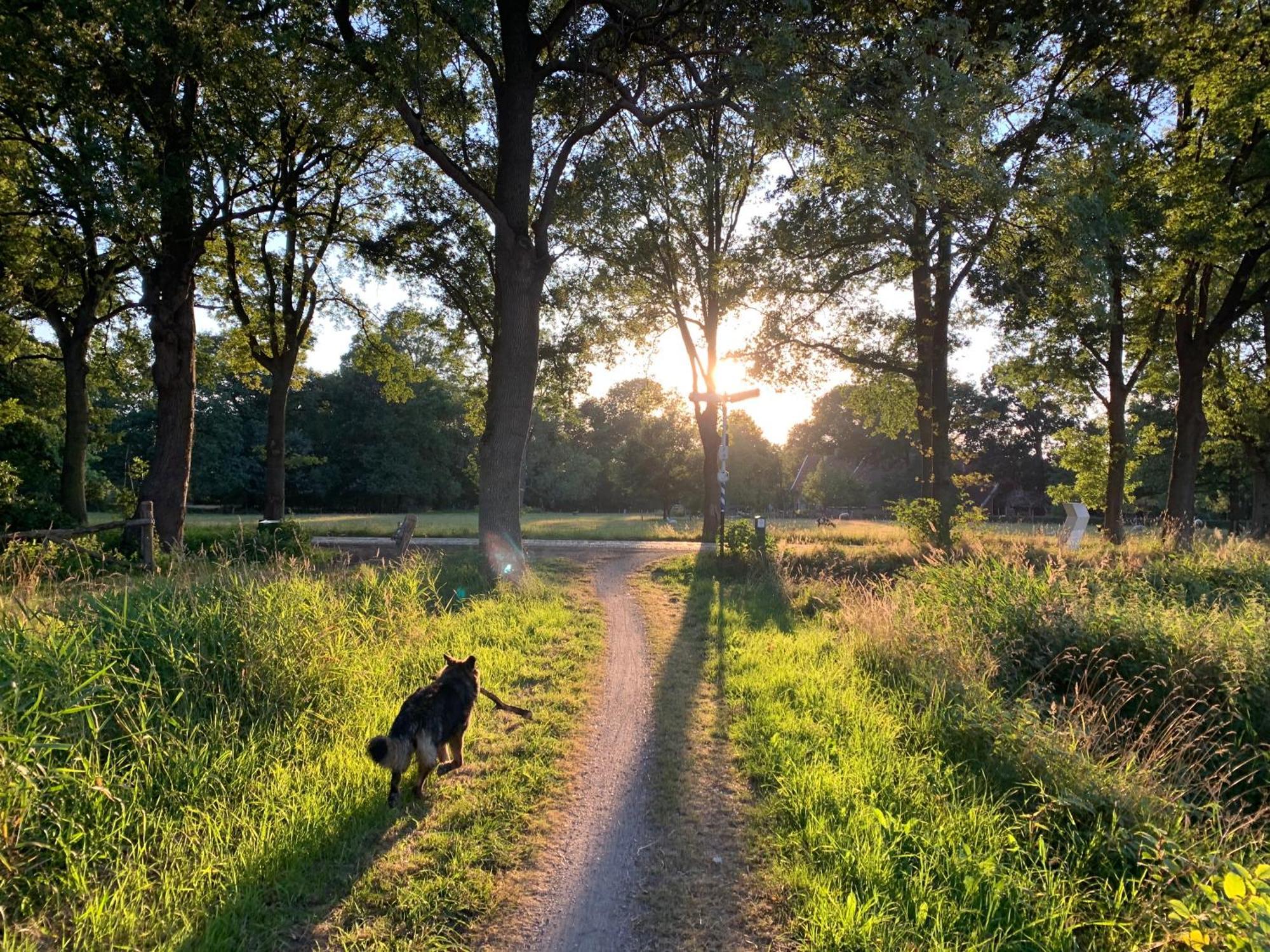 De Hiddinghhoeve Onstwedde Zewnętrze zdjęcie