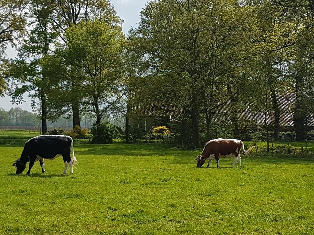 De Hiddinghhoeve Onstwedde Zewnętrze zdjęcie